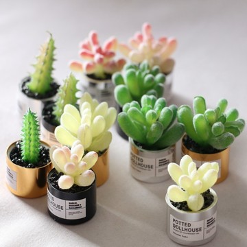 廢物專賣店 迷你多肉 GSC配件 娃娃屋植物 OB11擺件 微縮手作 金屬盆栽 Dollhouse模型 桌面拍照 小花盆