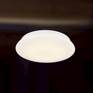 E27 吸頂二燈 L01-1968A