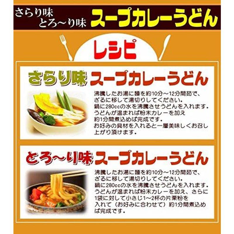 小松屋 麺BOX 激選スープカレーうどん 10人前（金福純生讃岐うどん250ｇ×5袋、スープカレー10袋）