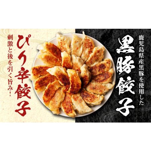 ふるさと納税 京都府 京都市 横綱の餃子はニンニク不使用！ぴり辛餃子・黒豚餃子 各5パックセット