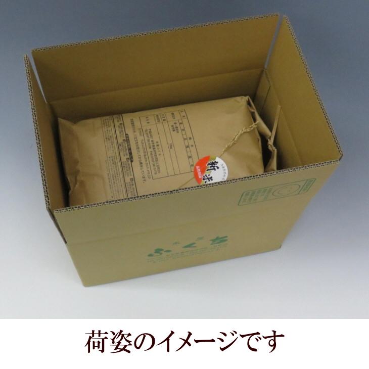 米　新米　金色の風　10kg　白米　玄米もOK　送料無料　発送日当日精米　お米　新品種　岩手県産　令和5年産米　10キロ　1注文6個まで