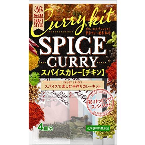 エスビー食品 CRAFT STYLE スパイスカレー 43.6g