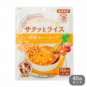 11421638 アルファー食品 サクッとライス 野菜カレースープ 190g ×40袋セット