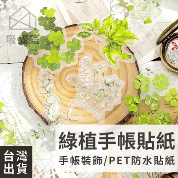 【吸貓室🖤隔日到貨】手帳貼紙 貼紙 植物貼紙 PET 手帳素材 透明貼紙 手帳裝飾 文青貼紙 小貼紙 拼貼素材 療癒貼紙