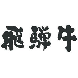 飛騨牛 ステーキ シャトーブリアン 600g 100g×6枚 3〜6人前 A5 A4 ギフト 肉 牛肉 焼肉用 お祝い返し 出産 結婚 お取り寄せ