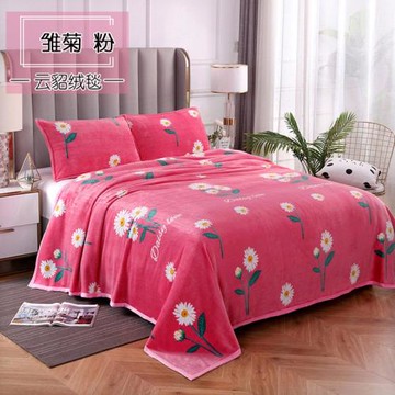 毛毯加厚牛奶絨珊瑚絨法蘭絨蓋毯外貿午休空調毯禮品小毛毯子批發