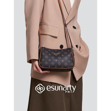 ESUNARTY女式包包2024年新款秋季輕奢腋下小包休閑印花單肩斜挎包