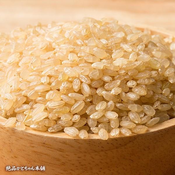 雑穀 雑穀米 国産 発芽玄米 4.5kg(450g×10袋) 送料無料 ダイエット食品 置き換えダイエット 雑穀米本舗