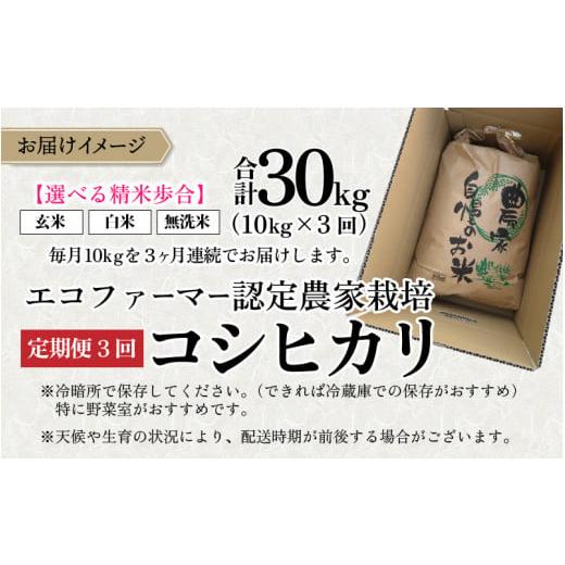 ふるさと納税 福井県 大野市 越前大野産 エコファーマー認定農家栽培 こしひかり 無洗米 10kg × 3回 計30kg