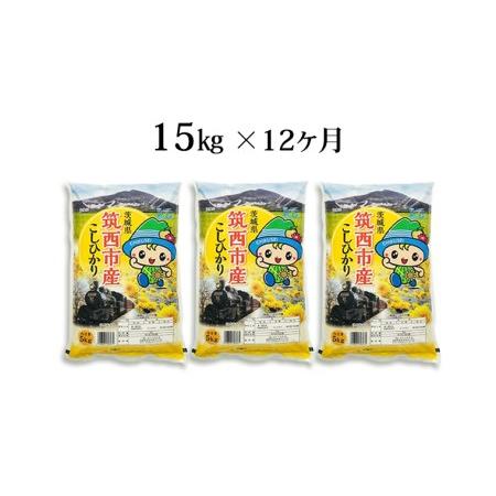 ふるさと納税 茨城県筑西市産 コシヒカリ15kg 米 コメ コシヒカリ こしひかり 茨城県 単一米 精米  [CH018ci] 茨城県筑西市