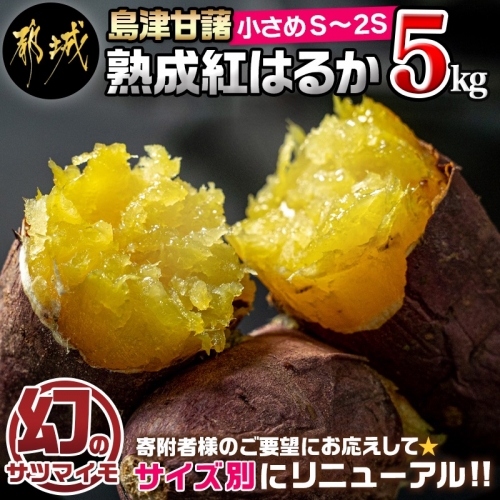 島津甘藷　熟成紅はるか 5kg(S～2S)_LD-A701-m