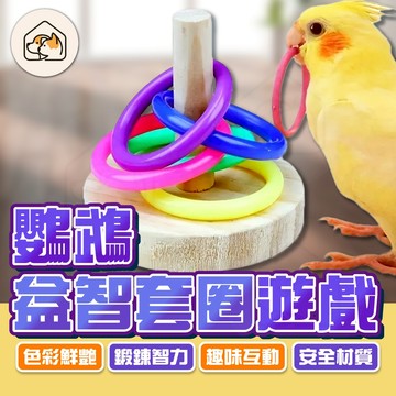 【鍛鍊智力👍】鸚鵡益智套圈遊戲 鸚鵡訓練玩具 人鳥互動玩具 鸚鵡解悶玩具 套圈玩具 鸚鵡解悶玩具  寵物套圈玩具 鳥玩具