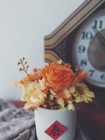 【Pola's Living】春暖花開乾燥盆花花禮/橘黃