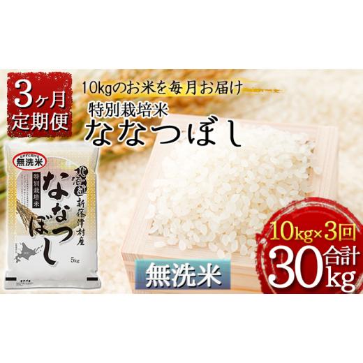 ふるさと納税 北海道 新篠津村 北海道新篠津村産 特別栽培米ななつぼし10kg（5kg×2）×3ヶ月連続お届け