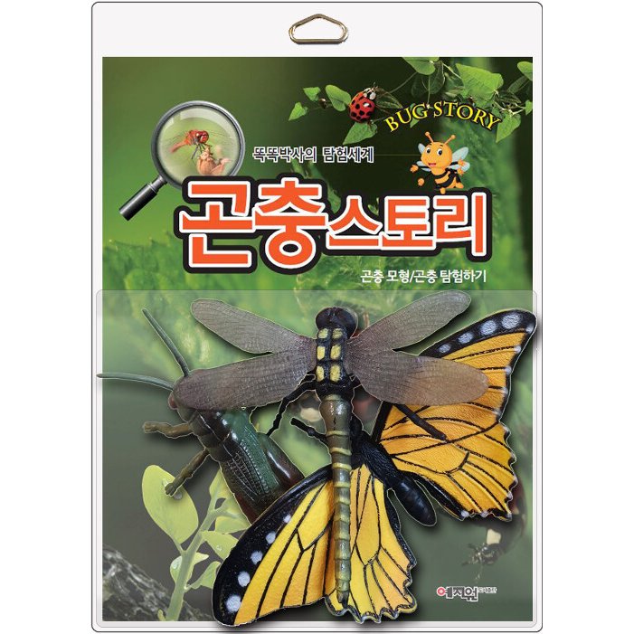 韓国語 幼児向け 本 『昆虫物語』 韓国本