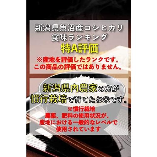 野沢農産生産組合 精米 令和元年産 特A 新潟県 魚沼産コシヒカリ (5kg)