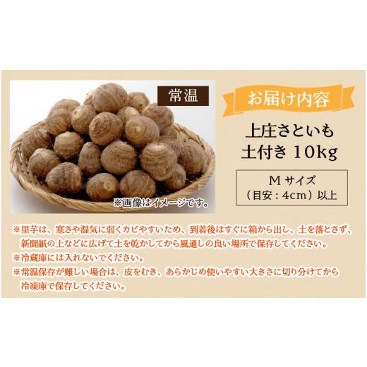 ふるさと納税 福井県 大野市 上庄さといも 10kg 減農薬・減化学肥料の特別栽培里芋