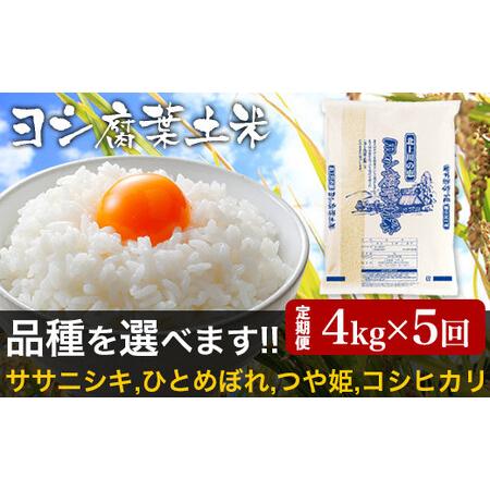 ふるさと納税 令和5年産＜定期便＞ヨシ腐葉土米 精米20kg（4kg×5回発送）ひとめぼれ 宮城県石巻市