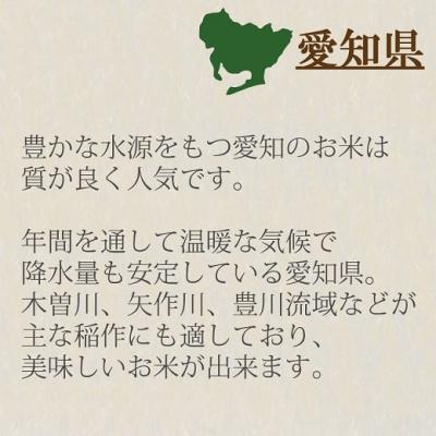 ふるさと納税 碧南市 愛知県産コシヒカリ 5Kg　※定期便6回　H074-552