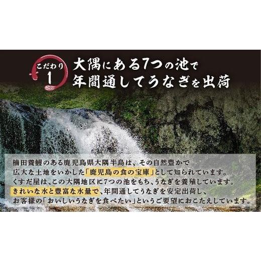 ふるさと納税 鹿児島県 大崎町 くすだ屋の鰻2尾_170g×2