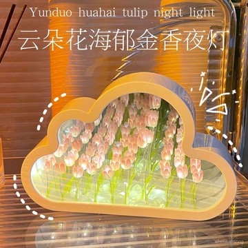 🔥限時下殺🔥鏡面小夜燈 鬱金香DIY鏡子 夜燈 鏡子 女生禮物 生日禮物 畢業禮物 高級小眾禮物 鏡面款小夜燈 鏡子燈