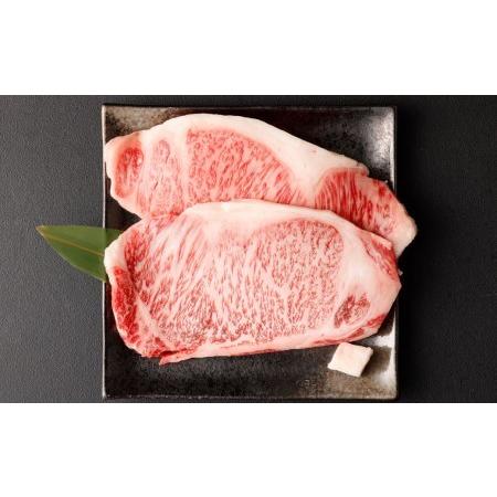 ふるさと納税 京都肉 サーロインステーキ（約220g×2枚） 京都府京都市