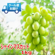 安心のクール便発送　シャインマスカット 1kg (2房)　山梨県南アルプス市