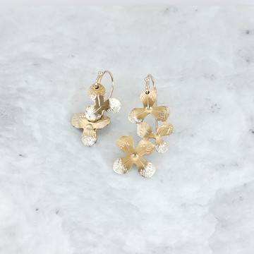 三葉草耳針三葉草和四葉草