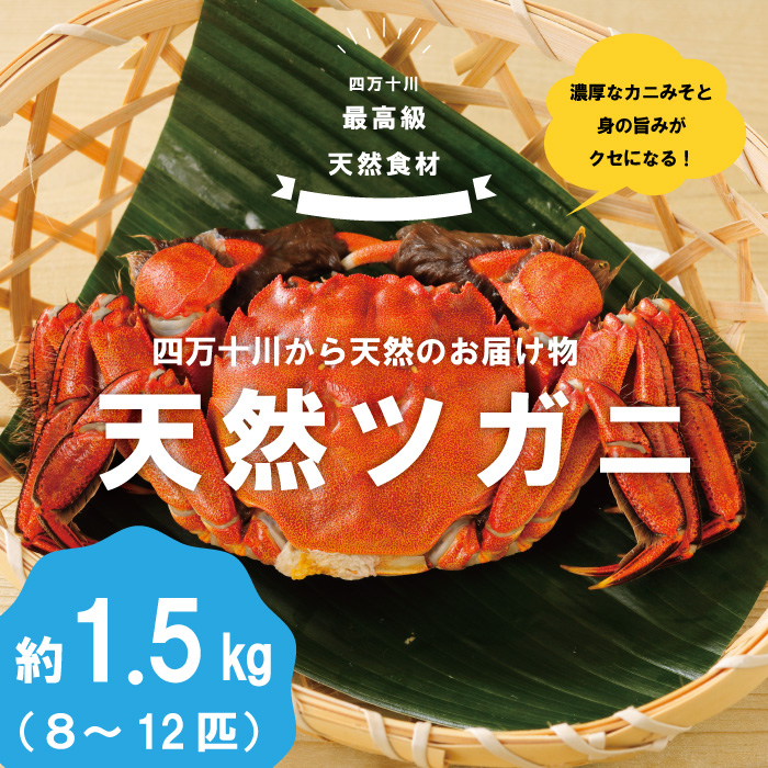 R5-984．最高級天然食材！四万十川の天然ツガニ 約1.5kg（8～12匹）