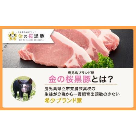 ふるさと納税 AS-044 鹿児島県産 黒豚 中華丼の具 4ハ゜ック(レンシ゛対応)レトルト 鹿児島県薩摩川内市