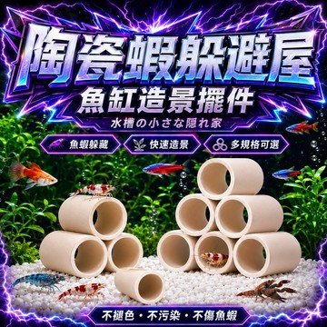 【現貨】水晶蝦躲避管 蝦屋 魚蝦躲避屋 蝦缸造景繁殖洞 蝦窩產卵屋 水族箱裝飾 水晶蝦缸造景 魚缸躲藏洞 魚缸水晶蝦