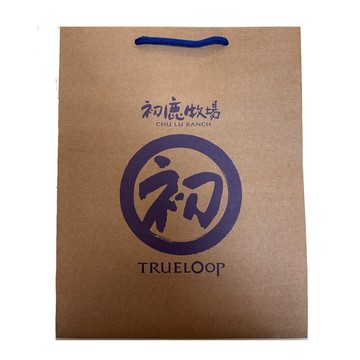 DIY紙袋_寬24x高30cm