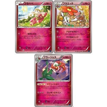老吉科🌲 Pokémon TCG PTCG 日版絕版XY系列 XY8 一刷 花蓓蓓 花葉蒂 花潔夫人 普卡 寶可夢卡牌