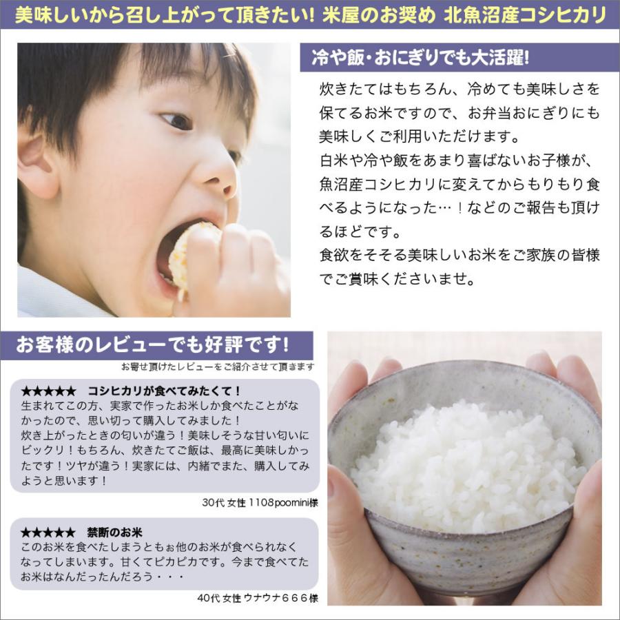 新米 お米 5kg 北魚沼産コシヒカリ新潟産 令和5年産 送料無料 （北海道、九州、沖縄除く）