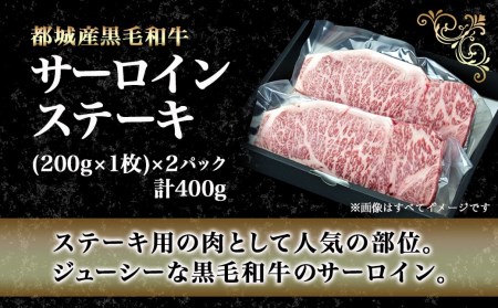 黒毛和牛サーロインステーキ200g×2枚_16-3301_(都城市) 牛肉 サーロインステーキ 200g×1枚×2パック 計400g ステーキ用カット