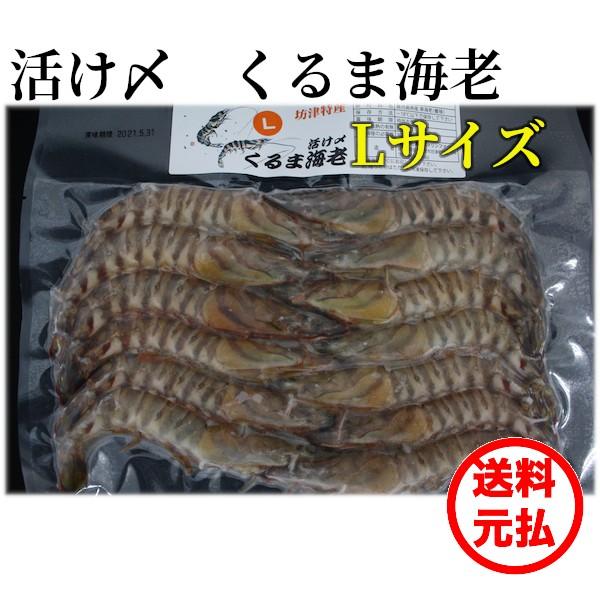 鹿児島産クルマエビ　冷凍　300g x ２袋　Lサイズ　11〜13尾入／袋