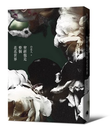 曾經他是整個花花世界[二手書_近全新]