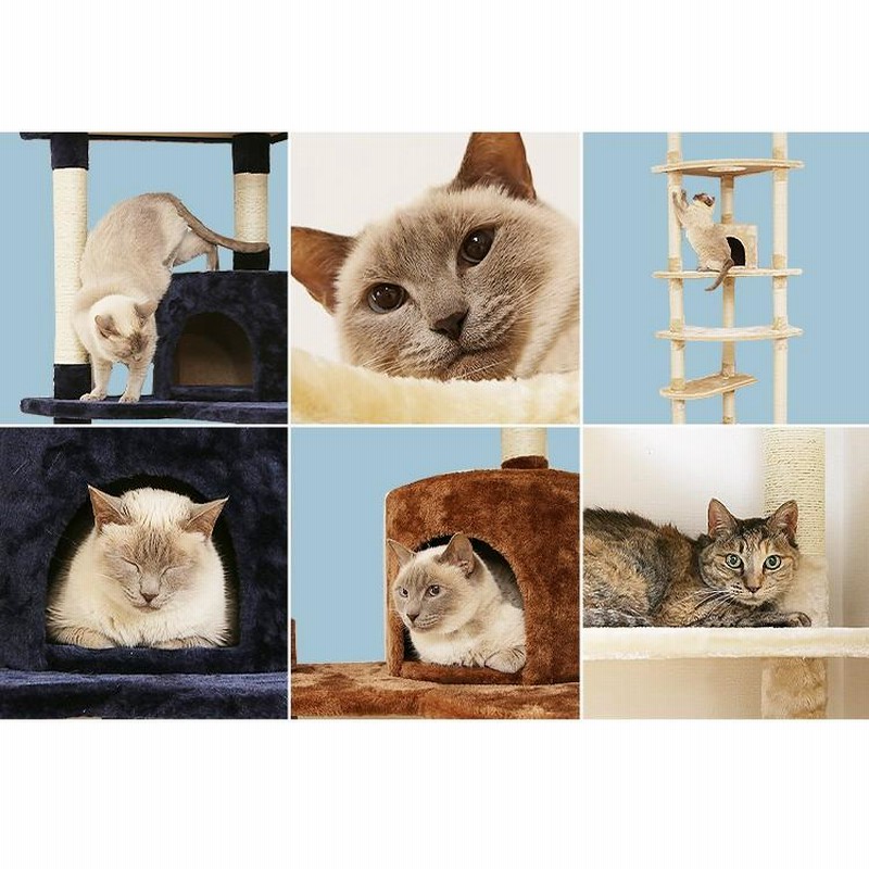 ナチュラル 突っ張り型キャットタワー 猫用隠れ家付き キャットタワー 突っ張り 隠れ家付き トンネル 爪とぎ 省