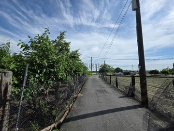 高科路竹休閒農地239坪~近路竹交流道｜高雄市路竹區福善段
