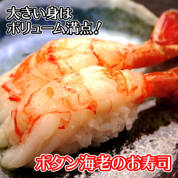 1311. ボタンエビ 500g えび エビ 海老 お刺身 魚介 海鮮 送料無料 北海道 弟子屈町