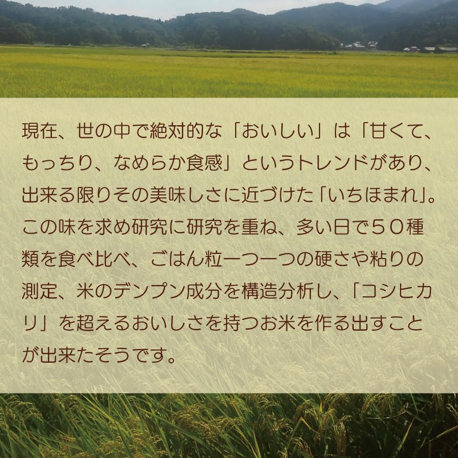 白米 令和４年産 いちほまれ ３kg 福井県産 送料無料 国産 ギフト お米 お取り寄せ お試し 御中元 お中元 御歳暮 敬老の日 御礼 誕生祝い 御祝 返礼品