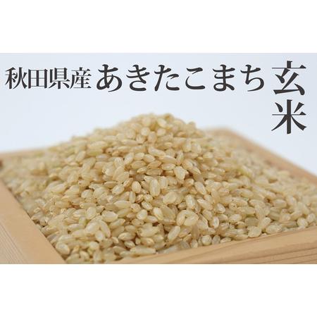 ふるさと納税 《定期便3ヶ月》 あきたこまち 10kg(10kg×1袋)×3回 計30kg  新米 令和5年産（9月下旬より発送予定） 秋田県三種町