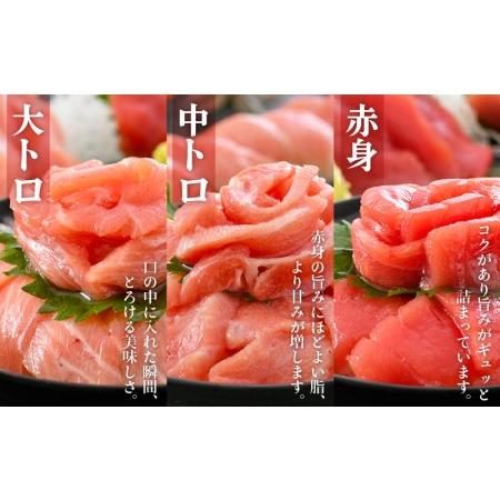 ふるさと納税 まぐろの王様！生本マグロ！まぐろ三昧セット計900g（赤身・中トロ・大トロ各300g） [e04-e005] 本まぐろ 本マグロ まぐろ マグロ .. 福井県越前町