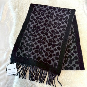 【蔻馳｜全新】現貨 COACH 圍巾 滿版 C字 羊毛 羊絨 送禮推薦｜Little Bee 小蜜蜂精品