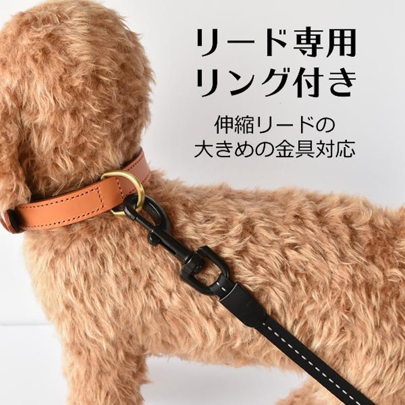 首輪 おしゃれ 犬 革 本革首輪 ドッグカラー レザー 小型犬 中型犬 本