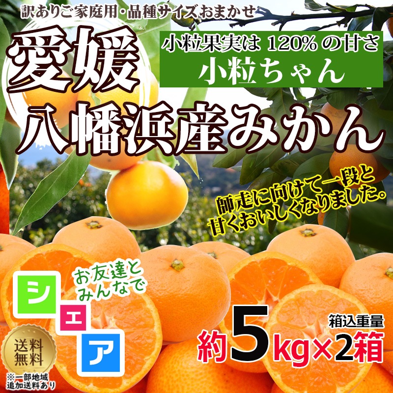 愛媛八幡浜産 ミカン 小粒ちゃん 約5kg(2箱) 訳あり サイズおまかせ 産地直送