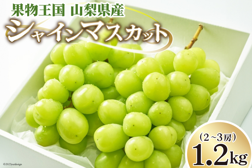 ぶどう シャインマスカット 1.2kg (2～3房) [OUTTA REACH JAPAN 山梨県 韮崎市 20742336] フルーツ 果物 マスカット ブドウ 産地直送 数量限定 期間限定