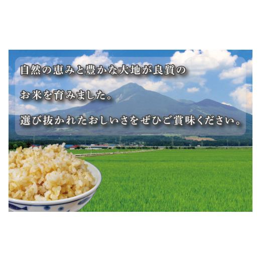 ふるさと納税 茨城県 行方市 CZ-6　真空包装　こしひかり４ｋｇ（２ｋｇ×２袋）