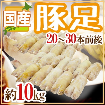 国産 豚足 20-30本前後 約10kg テビチ