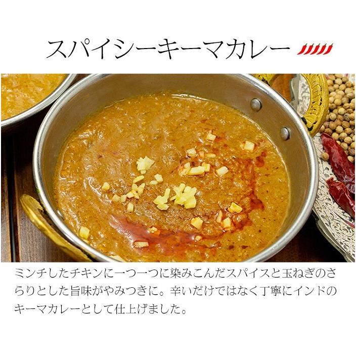 カレー レトルト スパイス香る本格派 インドカレー3食　DXセット 180g×3品 簡易包装 送料無料